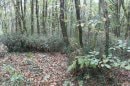 Tour du lac de Grand Lieu (Nord)